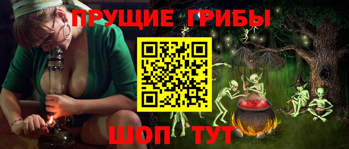 Псилоцибиновые грибы прущие грибы Ростов Великий