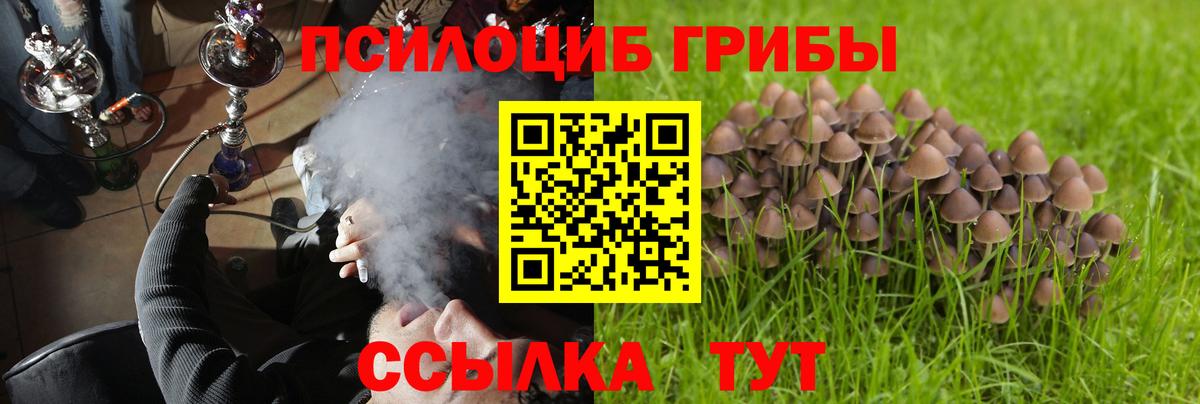 Галлюциногенные грибы Psilocybine cubensis  цена   Ростов Великий  Вход с VPN  Псилоцибиновые грибы MAGIC MUSHROOMS 
